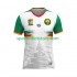 Kamerun Herren Ausweich trikot 2025 Kurzarm