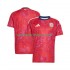Costa Rica Herren Heim trikot 2026 Kurzarm