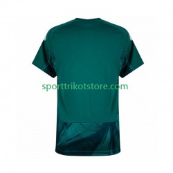 Deutschland Herren Heim trikot WM 2026 Kurzarm Torwart