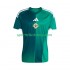 Nordirland Herren Heim trikot 2026 Kurzarm