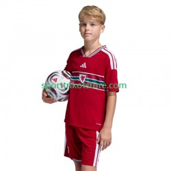 Wales Kinderset Heim trikot 2026 Kurzarm