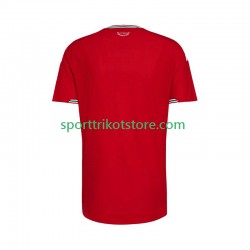 Wales Herren Heim trikot 2026 Kurzarm