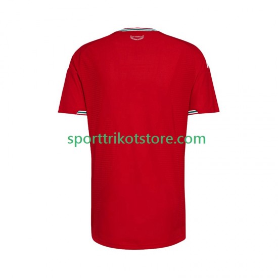 Wales Herren Heim trikot 2026 Kurzarm