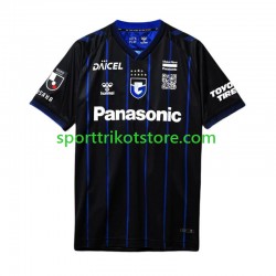 Herren Heim trikot 2024 Kurzarm Gamba Osaka