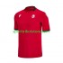 Herren Ausweich trikot Euro 2024 Kurzarm Georgia