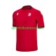 Herren Ausweich trikot Euro 2024 Kurzarm Georgia
