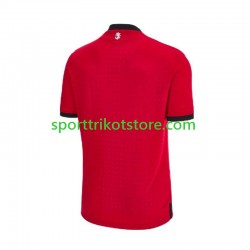 Herren Ausweich trikot Euro 2024 Kurzarm Georgia