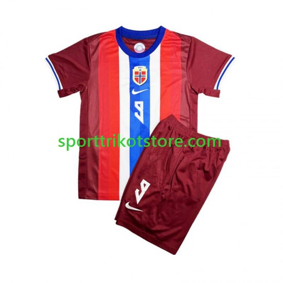 Norwegen Kinderset Rot Heim trikot 2024 Kurzarm Erling Haaland 9
