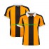 Hull City Herren Heim trikot 2027-2028 Kurzarm