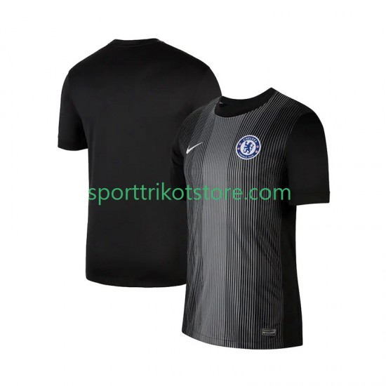Chelsea Herren Heim trikot 2025-2026 Kurzarm Torwart Chelsea Herren Heim trikot 2025-2026 Kurzarm Torwart