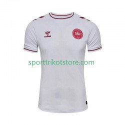 Dänemark Herren Auswärts trikot 2025 Kurzarm