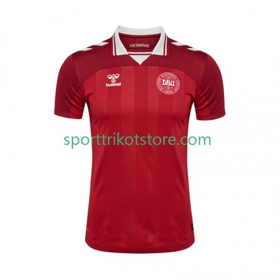 Dänemark Herren Heim trikot 2025 Kurzarm Dänemark Herren Heim trikot 2025 Kurzarm