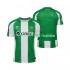 Real Betis Herren Heim trikot 2025-2026 Kurzarm