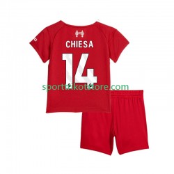 Liverpool Kinderset Heim trikot 2025-2026 Kurzarm Federico Chiesa 14