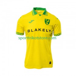 Norwich City Herren Heim trikot 2025-2026 Kurzarm