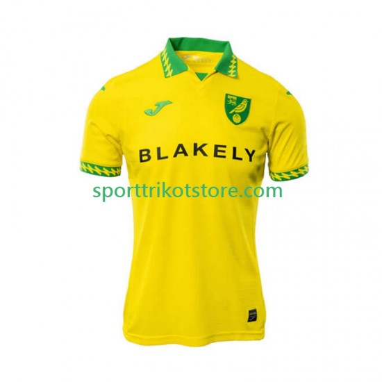 Norwich City Herren Heim trikot 2025-2026 Kurzarm