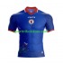 Herren Heim trikot WM 2026 Kurzarm Haiti