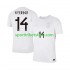 Norwegen Herren Ausweich trikot WM 2026 Kurzarm Julian Ryerson 14