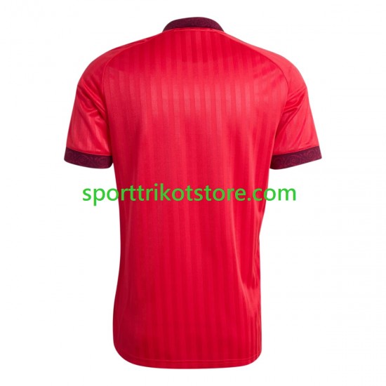 Norwegen Herren Ausweich trikot WM 2026 Kurzarm Martin Odegaard 10