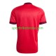 Norwegen Herren Ausweich trikot WM 2026 Kurzarm Martin Odegaard 10