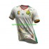 Kamerun Herren Auswärts trikot 2026 Kurzarm