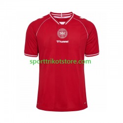 Dänemark Herren Heim trikot 2026 Kurzarm
