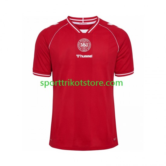Dänemark Herren Heim trikot 2026 Kurzarm