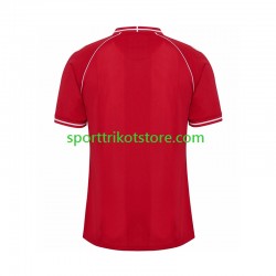 Dänemark Herren Heim trikot 2026 Kurzarm