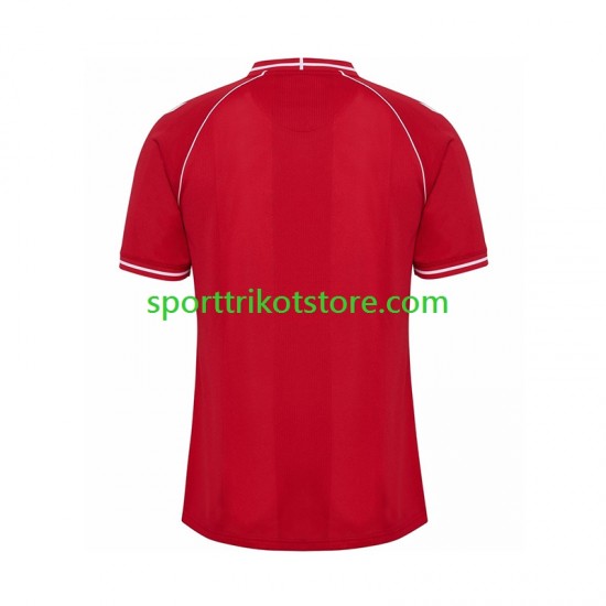 Dänemark Herren Heim trikot 2026 Kurzarm