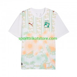 Elfenbeinküste Herren Auswärts trikot WM 2026 Kurzarm