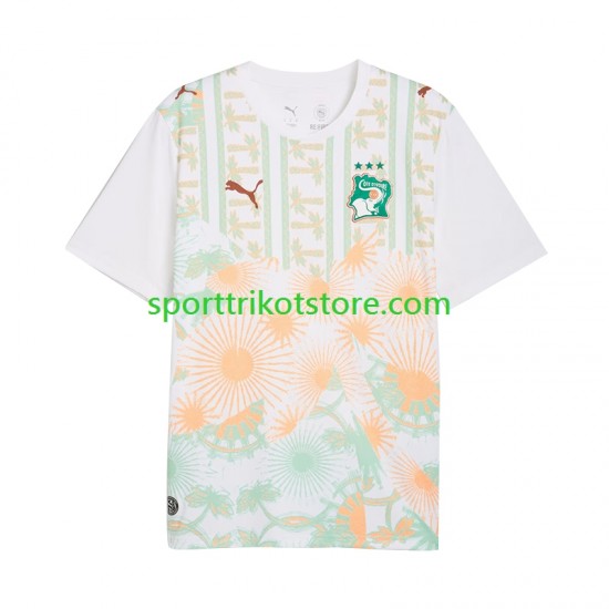 Elfenbeinküste Herren Auswärts trikot WM 2026 Kurzarm