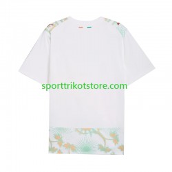 Elfenbeinküste Herren Auswärts trikot WM 2026 Kurzarm