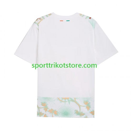 Elfenbeinküste Herren Auswärts trikot WM 2026 Kurzarm
