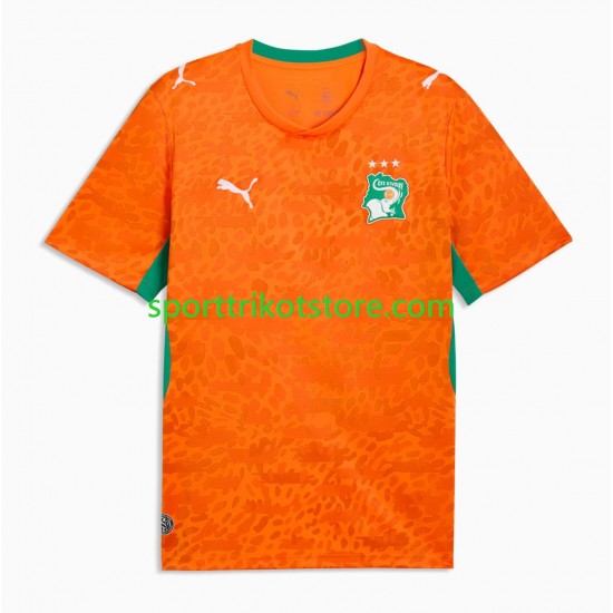 Elfenbeinküste Herren Heim trikot WM 2026 Kurzarm