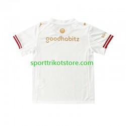 PSV Eindhoven Herren Viertes trikot 2025-2026 Kurzarm Efteling